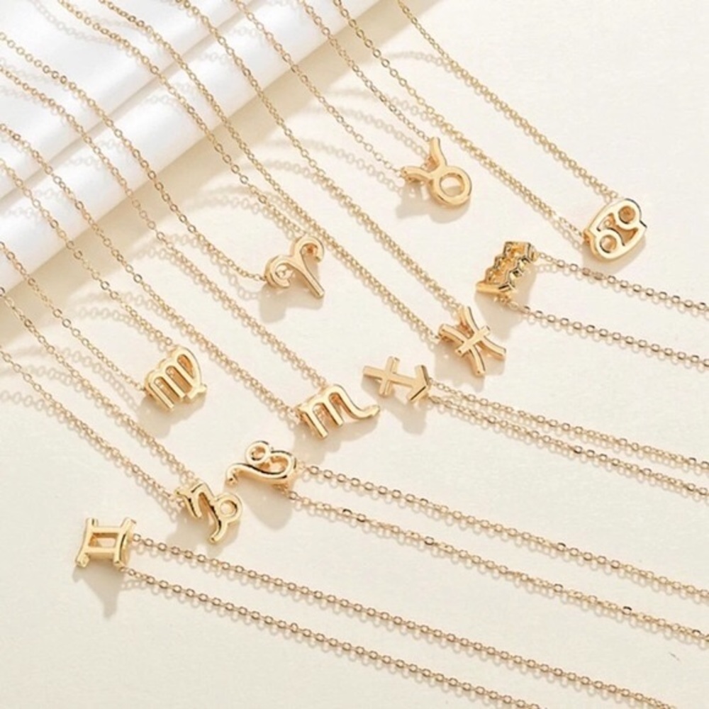 Minimalist Zodiac Sign Minimalist Charm Necklace